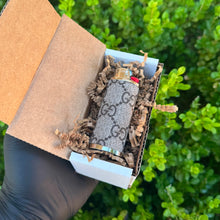 Load image into Gallery viewer, GG Brown x Silver Lighter Case
